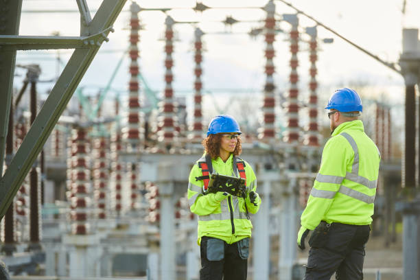 Best Generator Installation Services  in Fox Lake Hls, IL